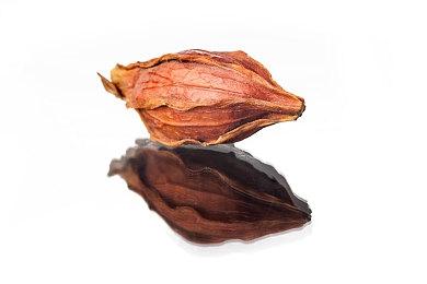 《魔兽世界》怀旧服将更新巫妖王之怒 再战阿尔萨斯